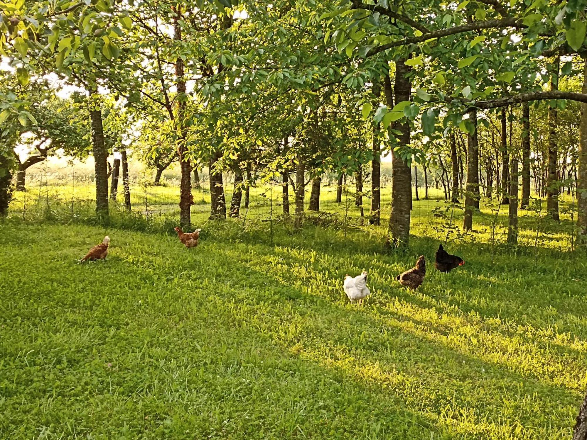 Nature Et Detente Ferienhaus Aubréville