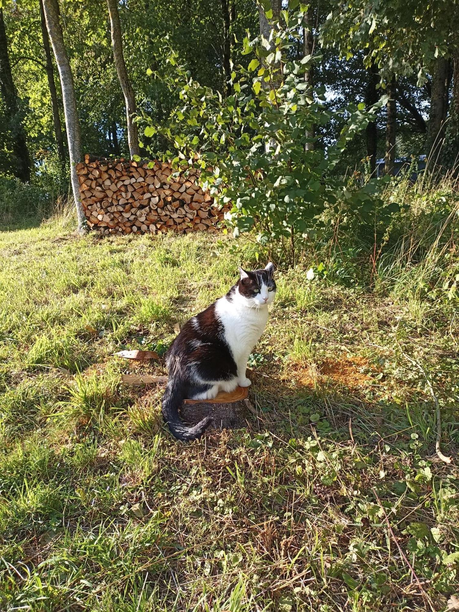 Ferienhaus Nature Et Detente Aubréville
