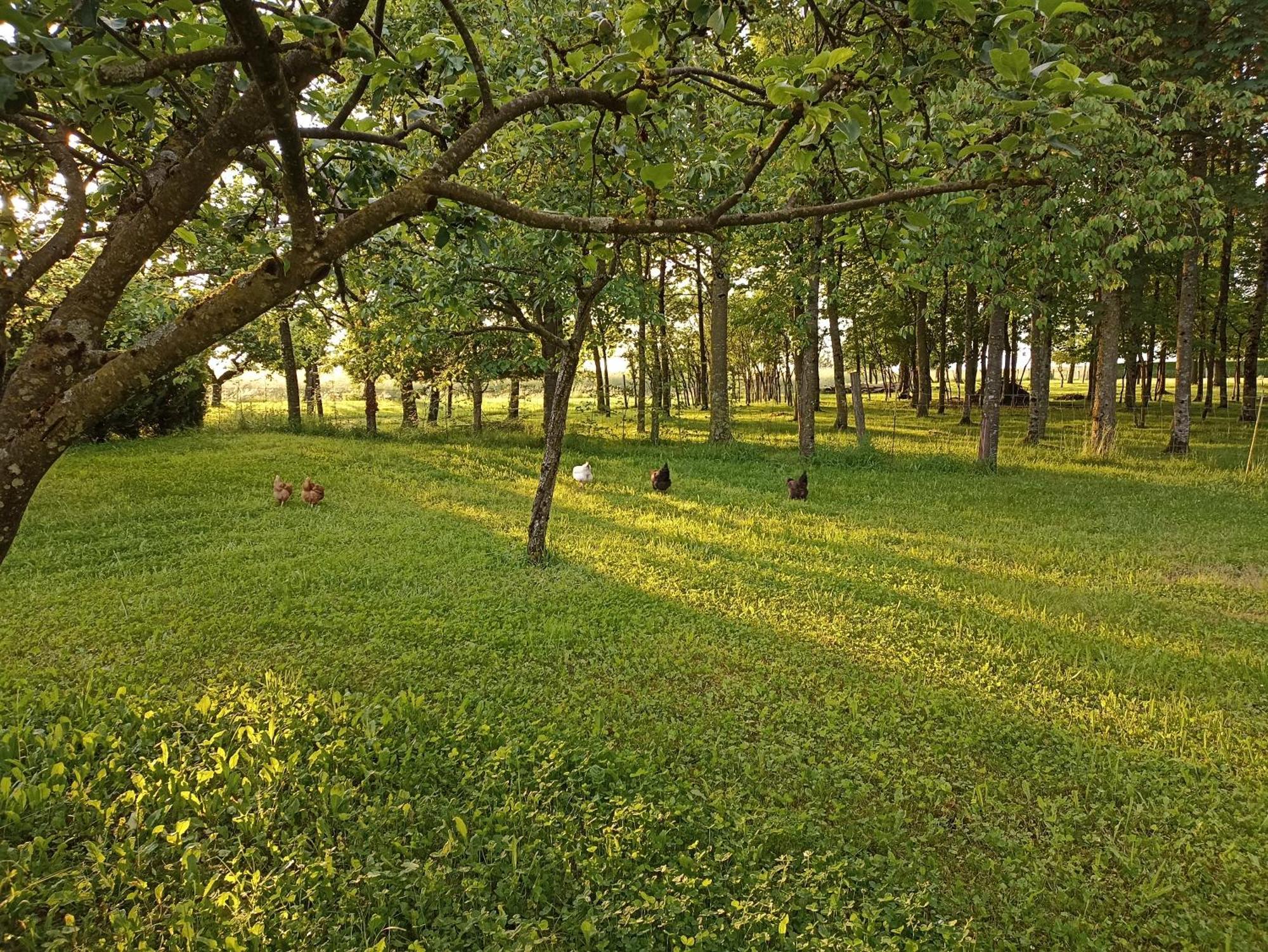 Nature Et Detente Aubréville