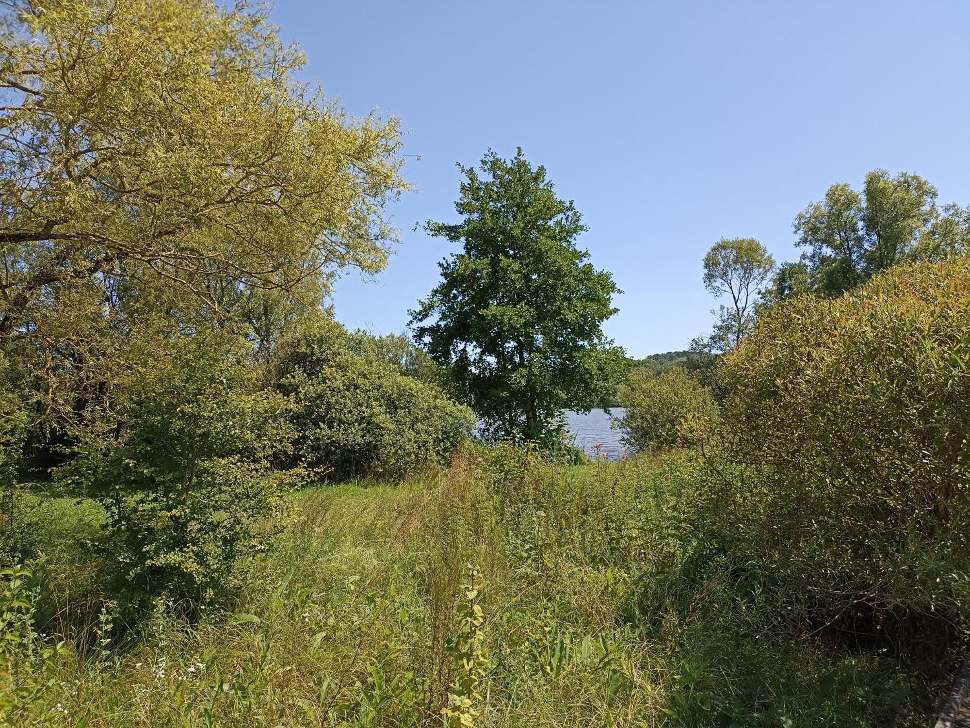 Nature Et Detente