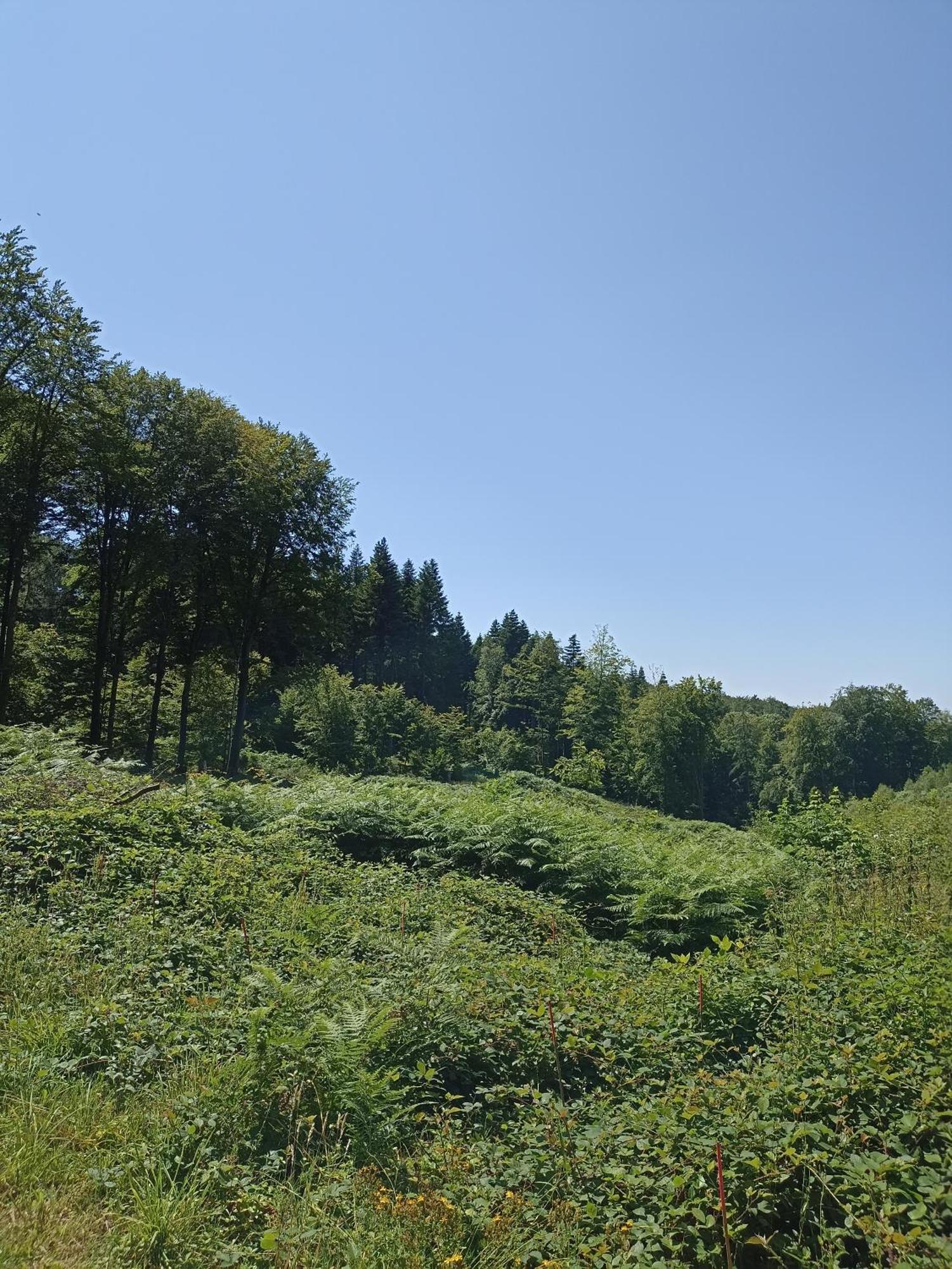 Nature Et Detente Ferienhaus