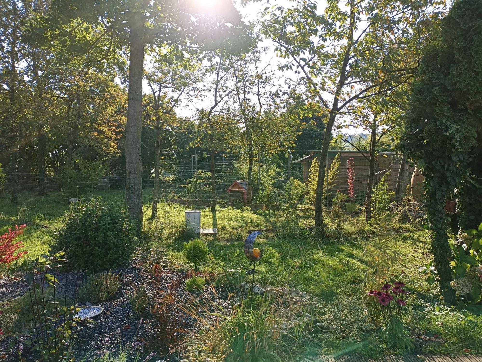 Ferienhaus Nature Et Detente